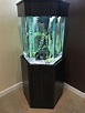 300 gallon fish tank Gallon fish tank 55 aquaponics indoor - ISBAGUS