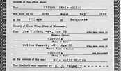 A Pictorial Biography of Arthur Vidich: Art's birth certificate and ...
