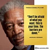 Top 35 Morgan Freeman Quotes On Being Persistent | The Success Elite