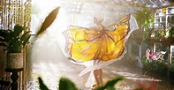 The Butterfly Tree - película: Ver online en español