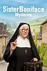 Sister Boniface Mysteries (TV Series 2022- ) - Posters — The Movie ...