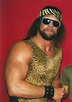 1985 - WrestleMania - An Historian