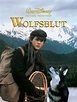 Amazon.de: Wolfsblut ansehen | Prime Video