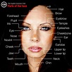 Parts Of The Face In English Human Head Vocabulary Fa - vrogue.co