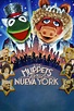 Los Muppets toman Nueva York | Doblaje Wiki | Fandom