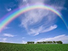Sciencuriosities: Pregunta Tú: ¿Por qué el arcoiris es un arco?