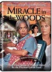 Miracle in the Woods (Película de TV 1997) - IMDb