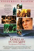 Gorillas in the Mist (1988) | 80's Movie Guide