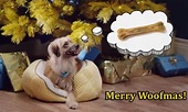 Merry Woofmas – A Christmas Movie Made For Dogs! – Christmas Crackered!
