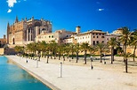 The Complete Guide to Palma de Mallorca, Spain