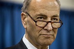 Why Pick Chuck Schumer to Lead the Democrats in the Senate? | Civic ...