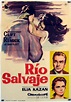"RIO SALVAJE" MOVIE POSTER - "WILD RIVER" MOVIE POSTER