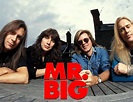 Mr Big | Mr big, Mr., Singer