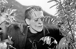 William Frankenstein 1994