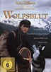 Wolfsblut (1990) (DVD) – jpc