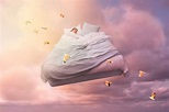 The Science Behind Sleep and Dreams - The art & science