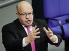 Chips fehlen der Autoindustrie: Peter Altmaier appelliert an Taiwan ...