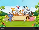 Cartoon Wild Animals Vector & Photo (Free Trial) | Bigstock