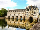 Discover the famous castle of Chenonceau and enjoy the flower workshop ...
