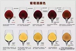 「紅酒」教你如何看顏色來判斷葡萄酒的年齡 - 每日頭條