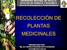 Recolección de Plantas Medicinales por Q.F. Marilú Roxana Soto Vásquez ...