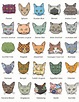 The Essential A-Z Cat Breed Guide on Cat Tree Lykoi Cat, Singapura Cat ...