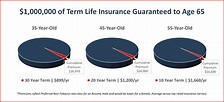 Insuring Your Economic Value with Term Life Insurance | Risk Resource