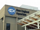 Visiting the amazing New England Aquarium in Boston - Girl Sees The World