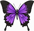 Purple Butterflies Clipart | Free download on ClipArtMag