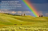 Genesis 9:16 Illustrated: "After the rain comes the rainbow ...