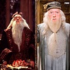 Harry Potter : Richard Harris à gauche et Michael Gambon à droite ...