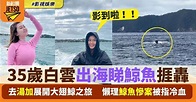 35歲白雲去湯加旅行出海睇鯨魚 被指懶理香港鯨魚慘案捱轟 | 影視娛樂 | 新假期