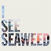 The Drones – I See Seaweed Lyrics | Genius Lyrics