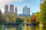Consejos para visitar Central Park - Guía Nueva York