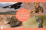 20 animales de la sierra peruana - ¡Descubre sus nombres y fotos!