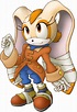 Image - Sonic Boom Cream.jpg | Idea Wiki | FANDOM powered by Wikia