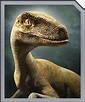 Velociraptor | Jurassic World Alive Wiki | Fandom