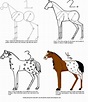 How To Draw Horses Step By Step - How To Draw A Cartoon Horse ...