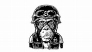 PRORED | El ejército de simios de Netflix · Simian Army
