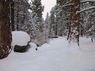 14 lugares para disfrutar de la nieve en California - SanDiegoRed.com