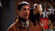 Whatever Happened To Marcel The Monkey From Friends?