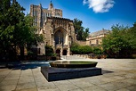 Yale University in New Haven, Connecticut image - Free stock photo ...