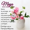 Bienvenido Mayo Good Night Messages, Good Night Quotes, Happy New Year ...