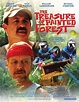 The Treasure of Painted Forest (2006) - IMDb