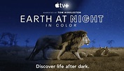 Docuseries 'Earth at Night in Color' trailer out | iLounge