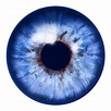 Eyes bleus transparents - PNG All