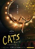 Cats DVD Release Date | Redbox, Netflix, iTunes, Amazon