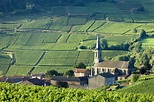 Burgundy Wine Region, France | Winetourism