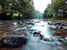 Foto de río en medio del bosque durante el día – Imagen gratuita Azul ...
