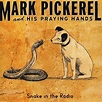 Mark Pickerel - Snake in the Radio - Amazon.com Music